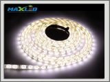 LED pásik Max-Led 300SMD 5993 50W 5m teplá biela IP65