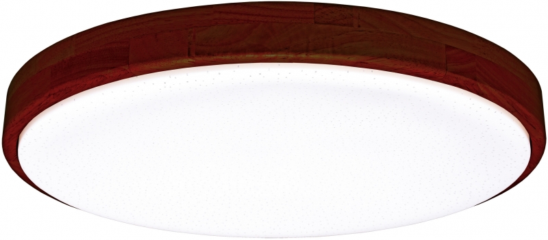 Stropní LED svítidlo WLD400-24W/LED/TD s dálkovým ovládáním 
