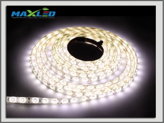 LED pásik Max-Led 300SMD 6013 50W 5m studená biela 6000K IP65